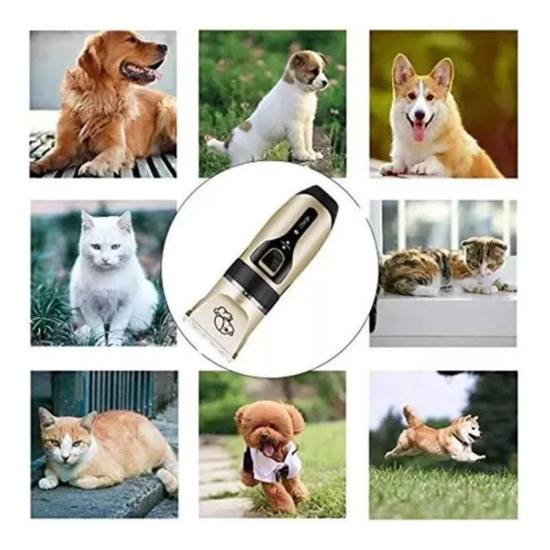 Cortapelos Para Mascotas Versión Profesional Pet Clipper Kit Dorado