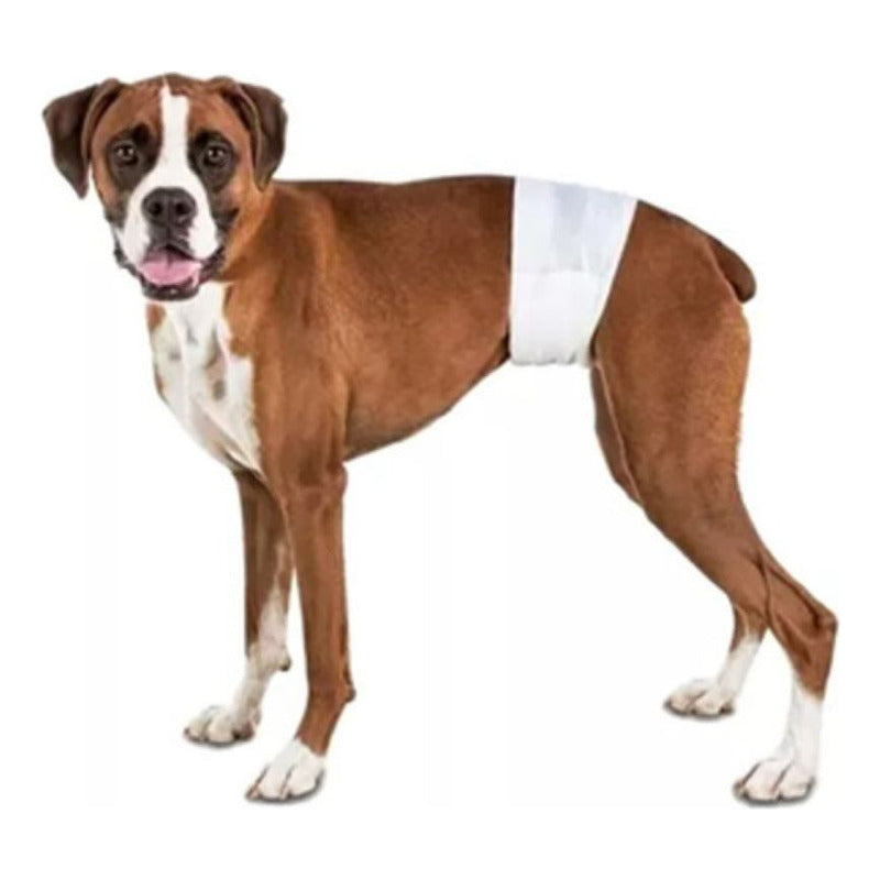 Pañal Para Perro Talla S 12 Und Seco Y Cómodo
