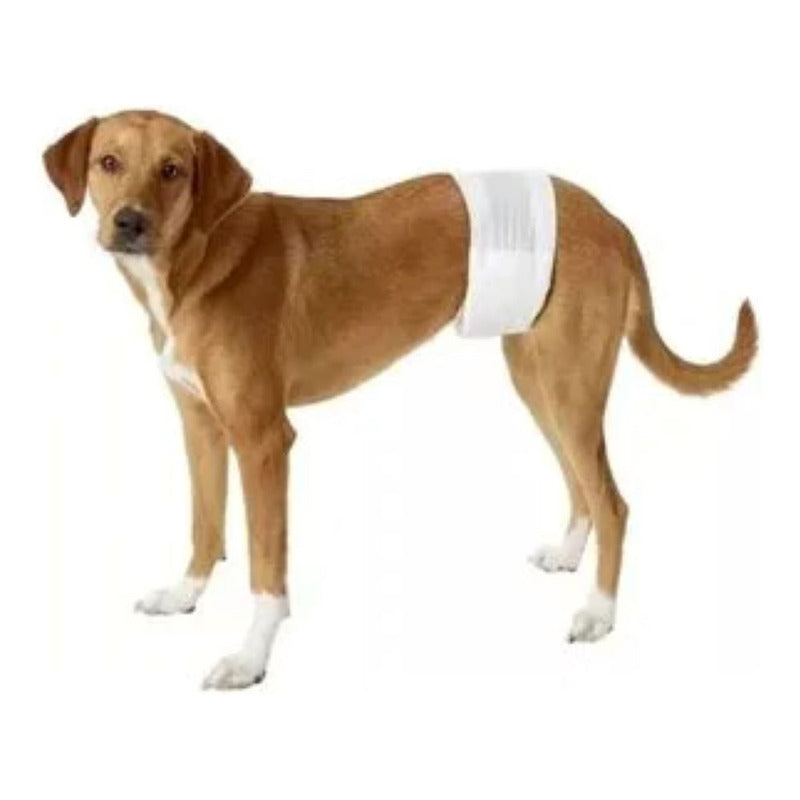 Pañal Para Perro Talla Xl 12 Und Seco Y Cómodo