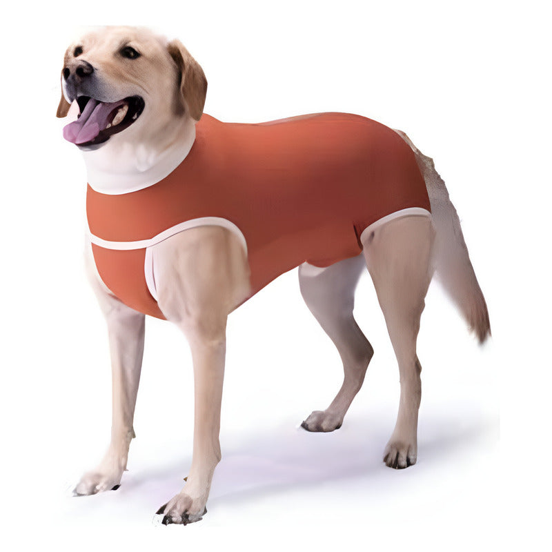 Body Cobre Kimba Castración Perros Machos Talla 7