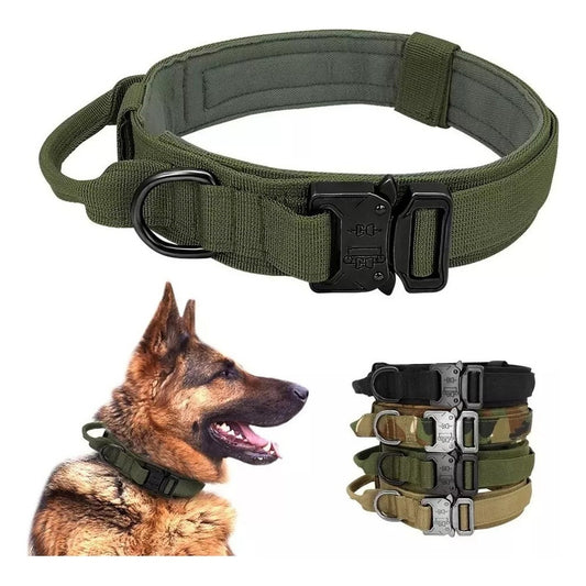 Collar Para Perro, Táctico, Color Verde Tamaño Del Collar Xl Verde Collar Táctico L