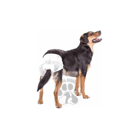 Pañales Desechable Para Perro 12 Unidades Talla M Blanco