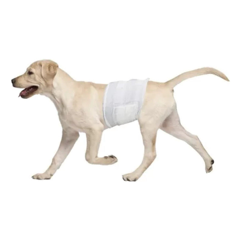 Pañal Para Perro Talla S 12 Und Seco Y Cómodo