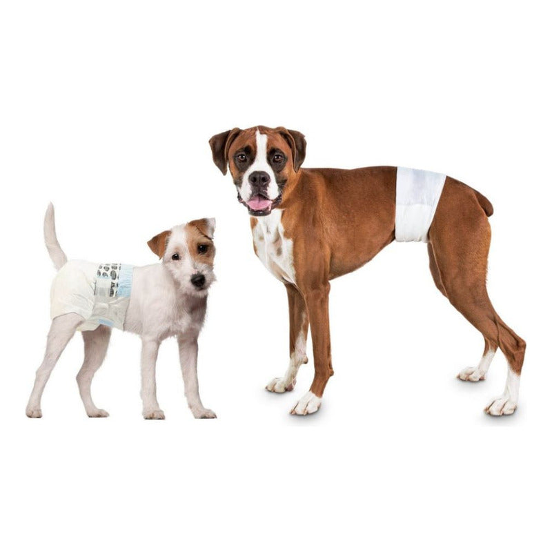 Pañales Desechable Para Perro 12 Unidades Talla M Blanco
