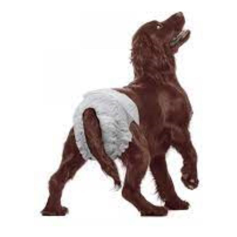 Pañal Para Perro Hembra Talla Xs 10 Und Seco Y Cómodo Blanco Xs