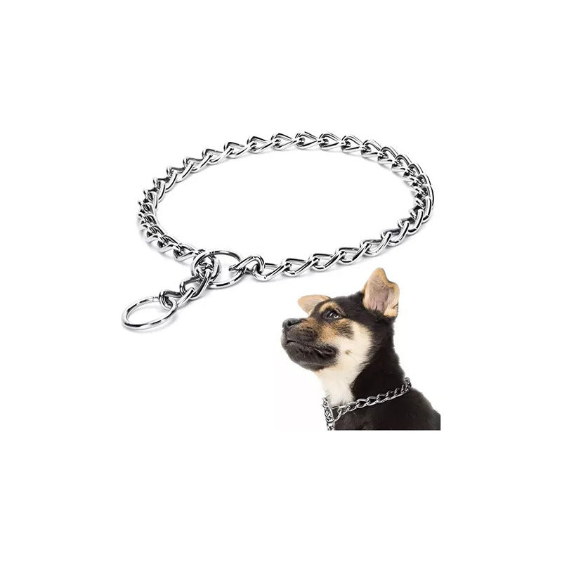 Collar De Adiestramiento Canino Color Cromo Tamaño 55 Cm