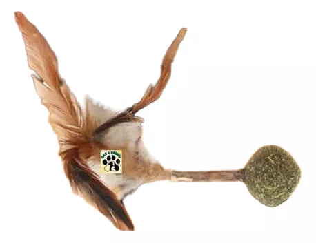 Pelota De Hierba Gatera Con Matatabi Y Plumas