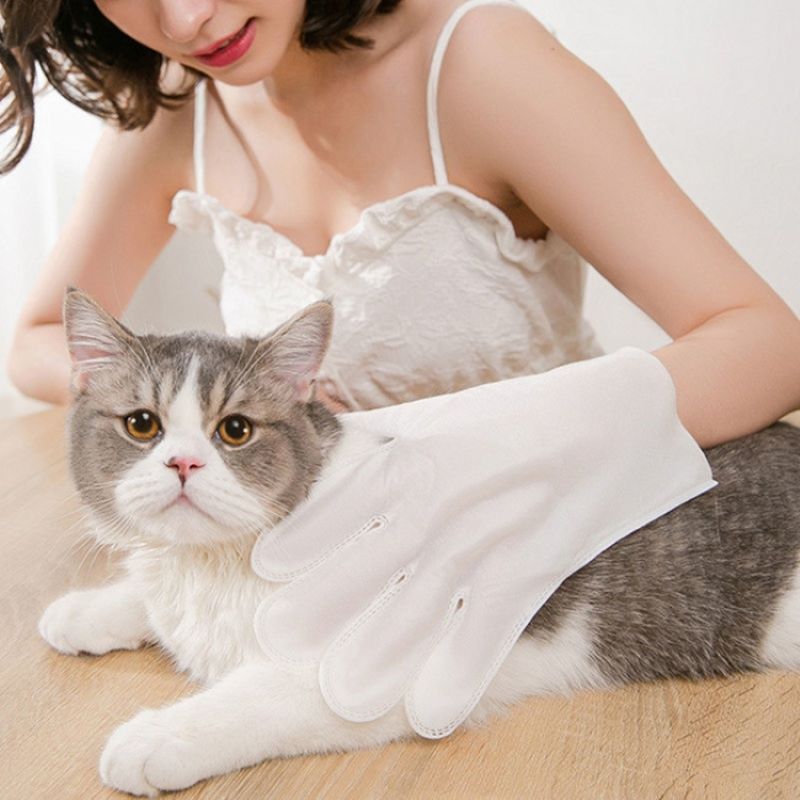 Toallas Tipo Guante Desechable Para Mascotas Gato Perro 6 Pz Blanco
