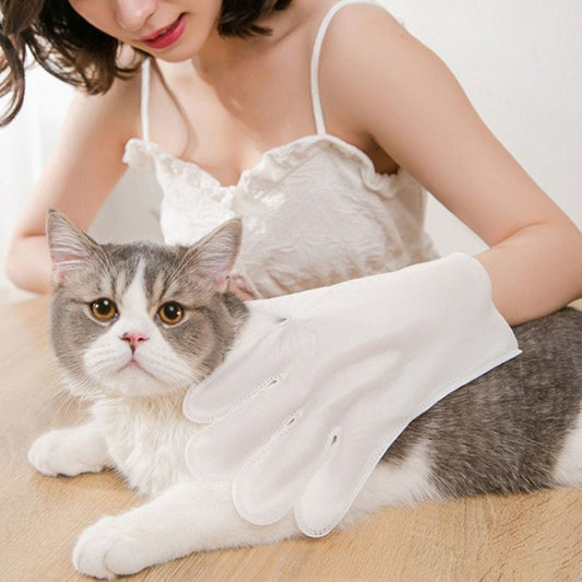 Toallas Tipo Guante Desechable Para Mascotas Gato Perro 6 Pz Blanco