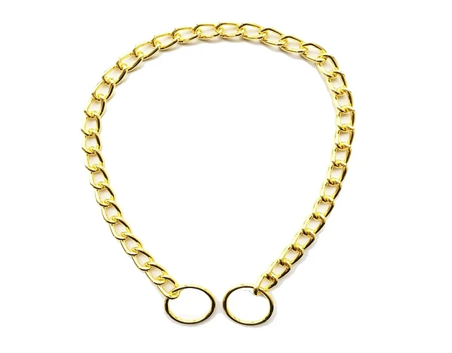 Elegante Collar Dorado De Entrenamiento Para Caminar Perros 60 cm