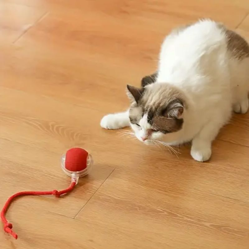 Pelota Eléctrica Para Gatos Juguete Interactivo Y Automatico Rojo