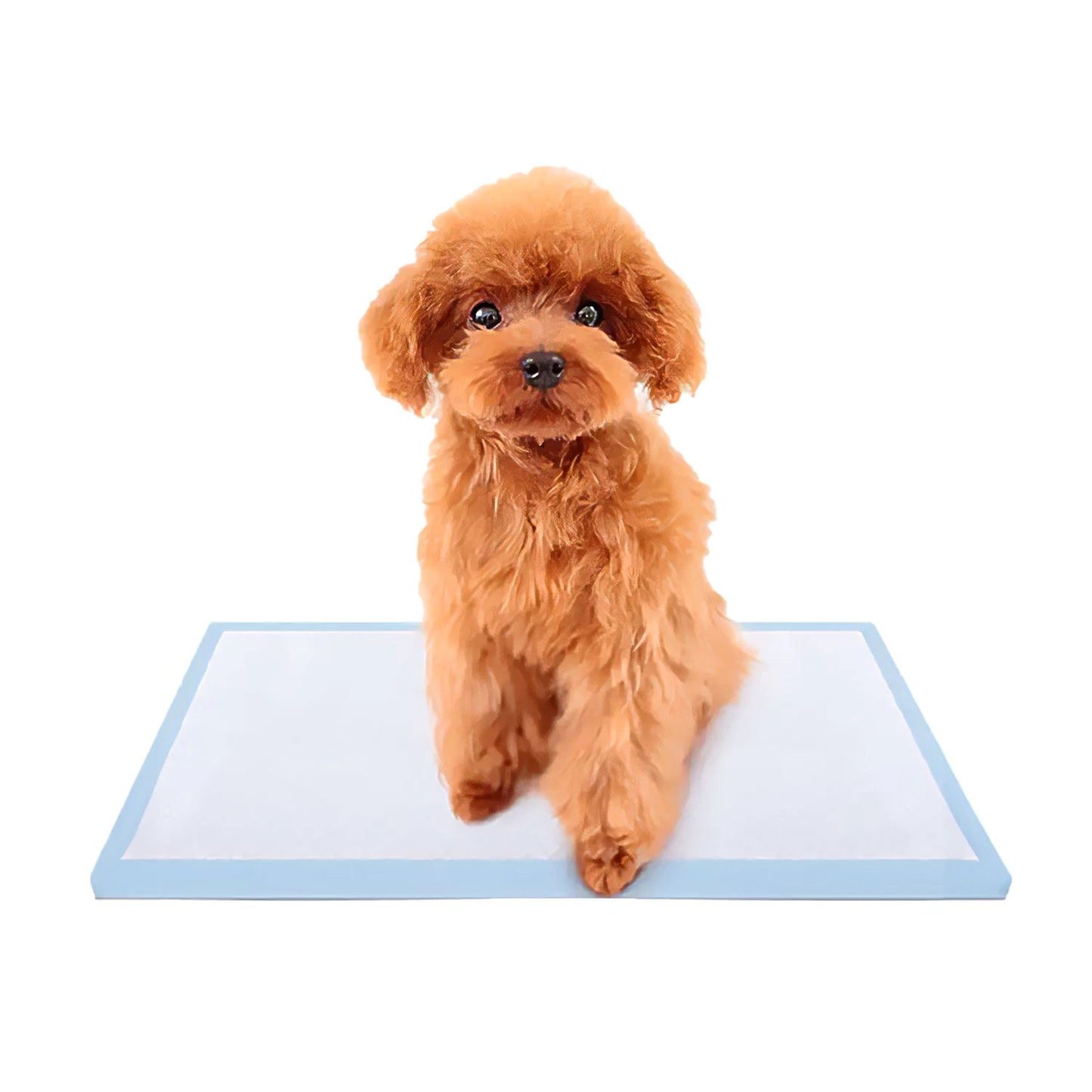 Sabanillas Para Perros 60x90cm (50 Und)