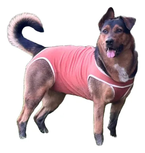 Body Cobre Original Para Perros Y Gatos De 6 Kg A 7.5 Kg