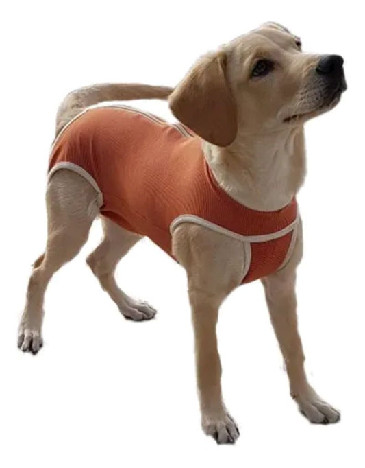 Body Cobre Original Para Perros Y Gatos De 2.5 Kg A 3.5 Kg