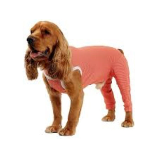 Body Cobre Kimba Posterior Post-operatorio T4  (6 A 7.5 Kg)