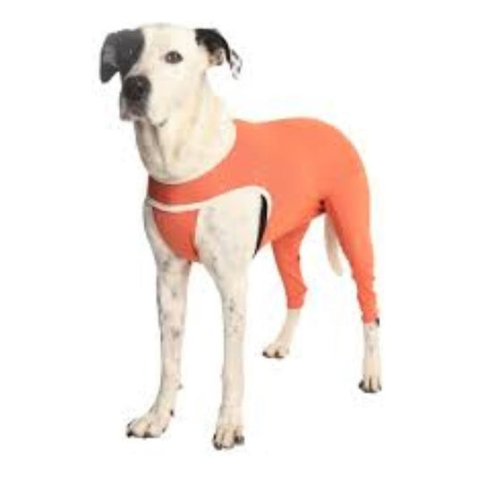 Body Cobre Kimba Posterior Post-operatorio T13 (40 A 45kg)