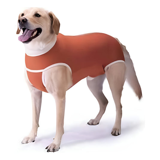 Body Cobre Kimba Castración Perros Machos Talla 7