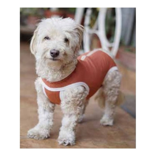 Body Cobre Kimba Castración Perros Machos Talla 1