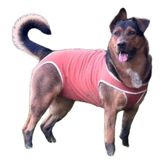 Body Cobre Original Para Perros Y Gatos De 45 Kg A 50 Kg