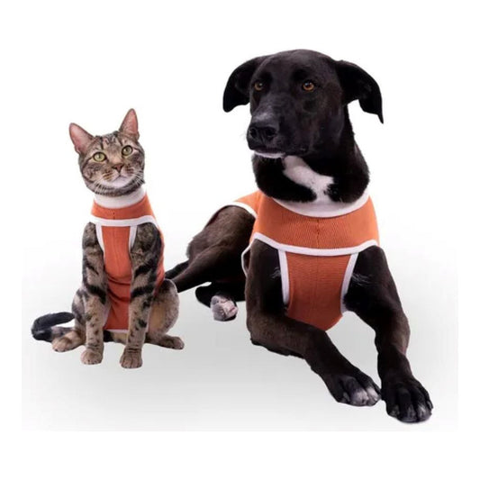 Body Cobre Original Para Perros Y Gatos De 2.5 Kg A 3.5 Kg