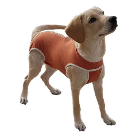Body Cobre Original Para Perros Y Gatos De 4.5 Kg A 6 Kg