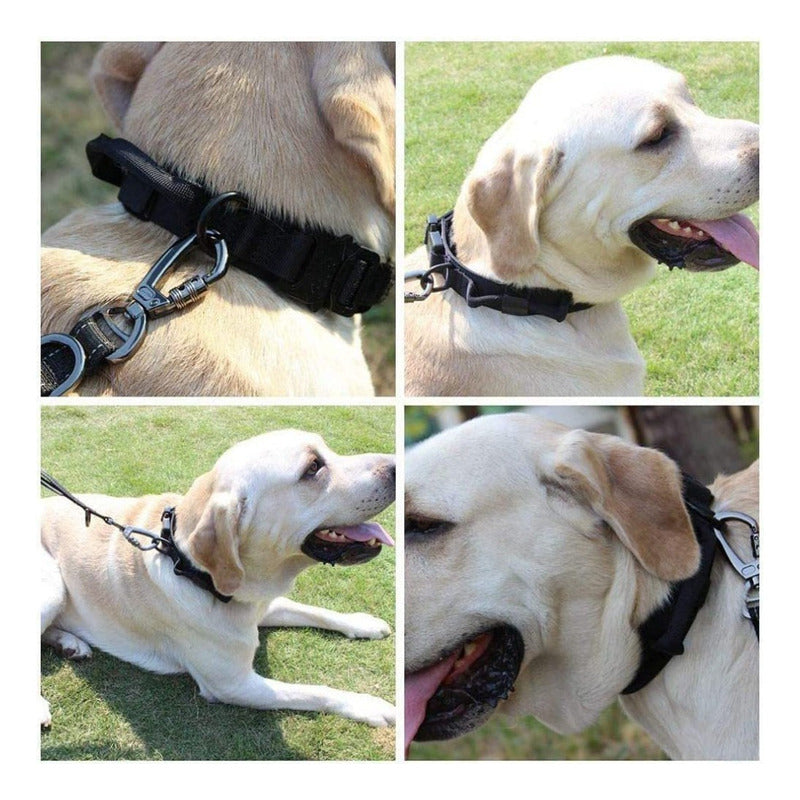 Collar Para Perro, Militar, Táctico, De Pastor Alemán, Tamañ Color Verde Tamaño Del Collar L