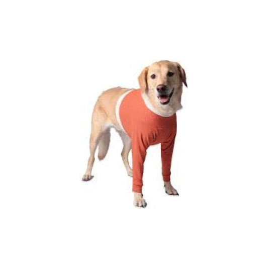 Polerón Cobre Protector Miembros Anteriores - Talla 10