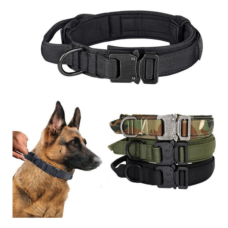 Collar Para Perro, Militar, Táctico, De Pastor Alemán, Tamañ Color Verde Tamaño Del Collar L