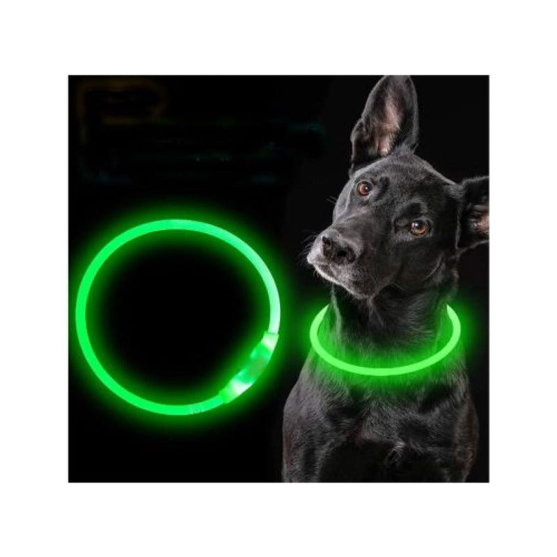Collar Led Para Perro Brilla En La Oscuridad Usb Recargable