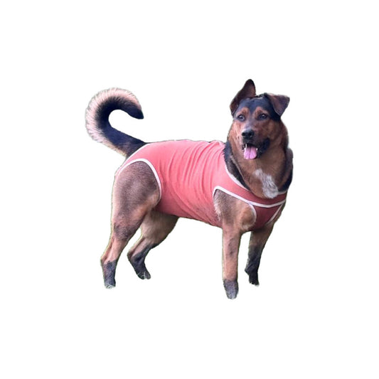 Body Cobre Original Para Perros Y Gatos De 35 Kg A 40 Kg