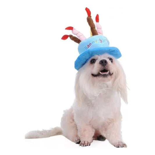Sombrero Difraz Perro Gato Mascota Happy Cumpleaños Azul