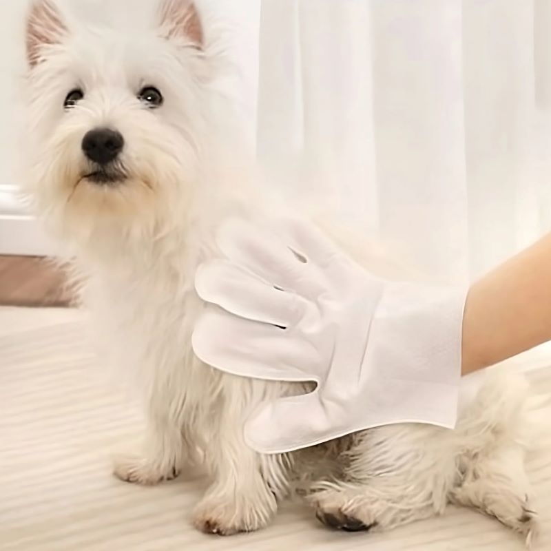 Toallas Tipo Guante Desechable Para Mascotas Gato Perro 6 Pz Blanco