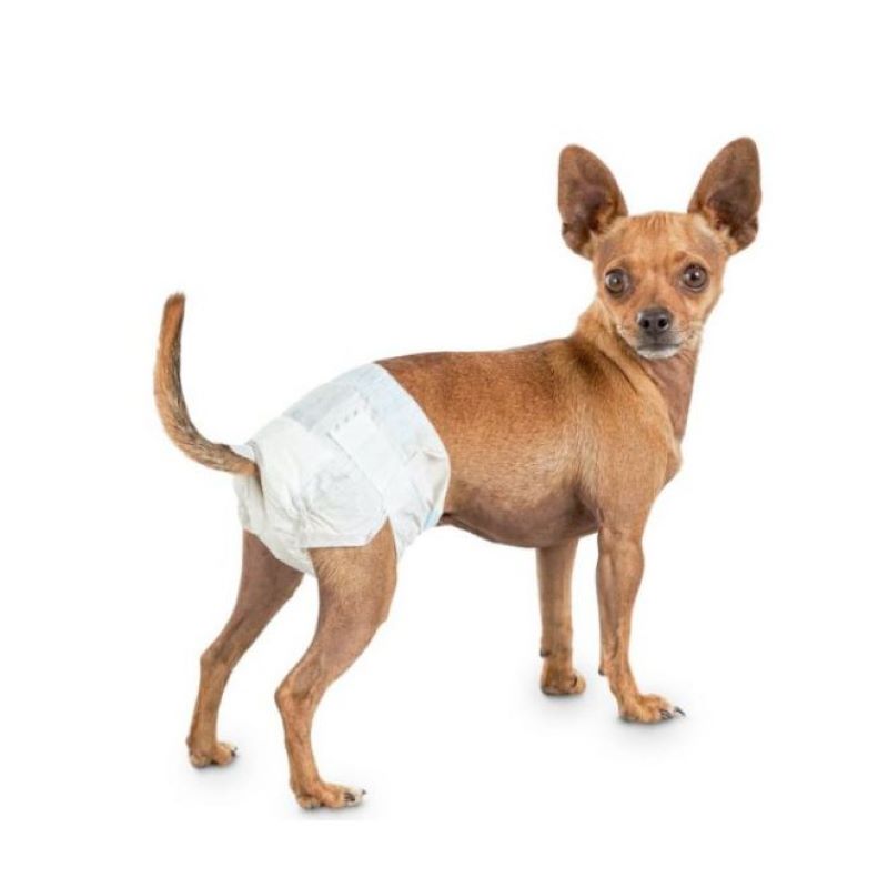 Pañales Desechable  Blanco Para Perro 10 Unidades Talla XS