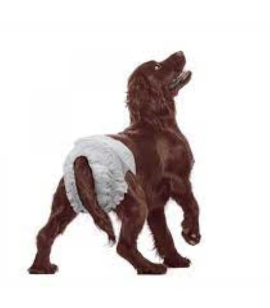 Pañales Desechable Para Perro 10 Unidades Talla Xl Blanco Xl