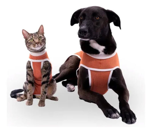 Body Cobre Original Para Perros Y Gatos De 1.5 Kg A 2.5 Kg