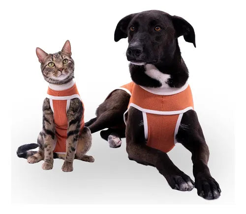 Body Cobre Original Para Perros Y Gatos De 3.5 Kg A 4.5 Kg