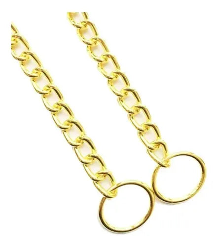 Elegante Collar Dorado De Entrenamiento Para Caminar Perros 60 cm