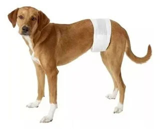 Pañal Para Perro Talla S 12 Und Seco Y Cómodo