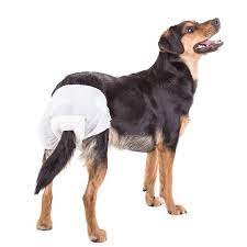 Pañales Desechable Para Perro 10 Unidades Talla L Blanco L